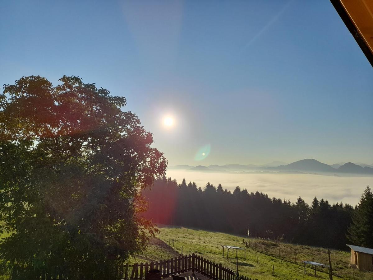 Miniponyhof Biohof Almbauer Apartman Waidhofen an der Ybbs Kültér fotó