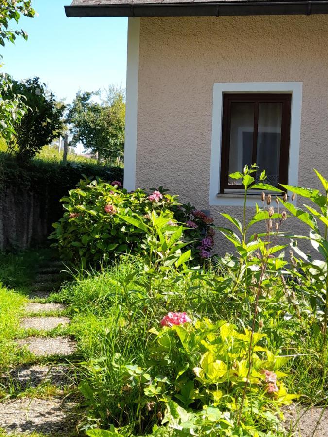 Miniponyhof Biohof Almbauer Apartman Waidhofen an der Ybbs Kültér fotó