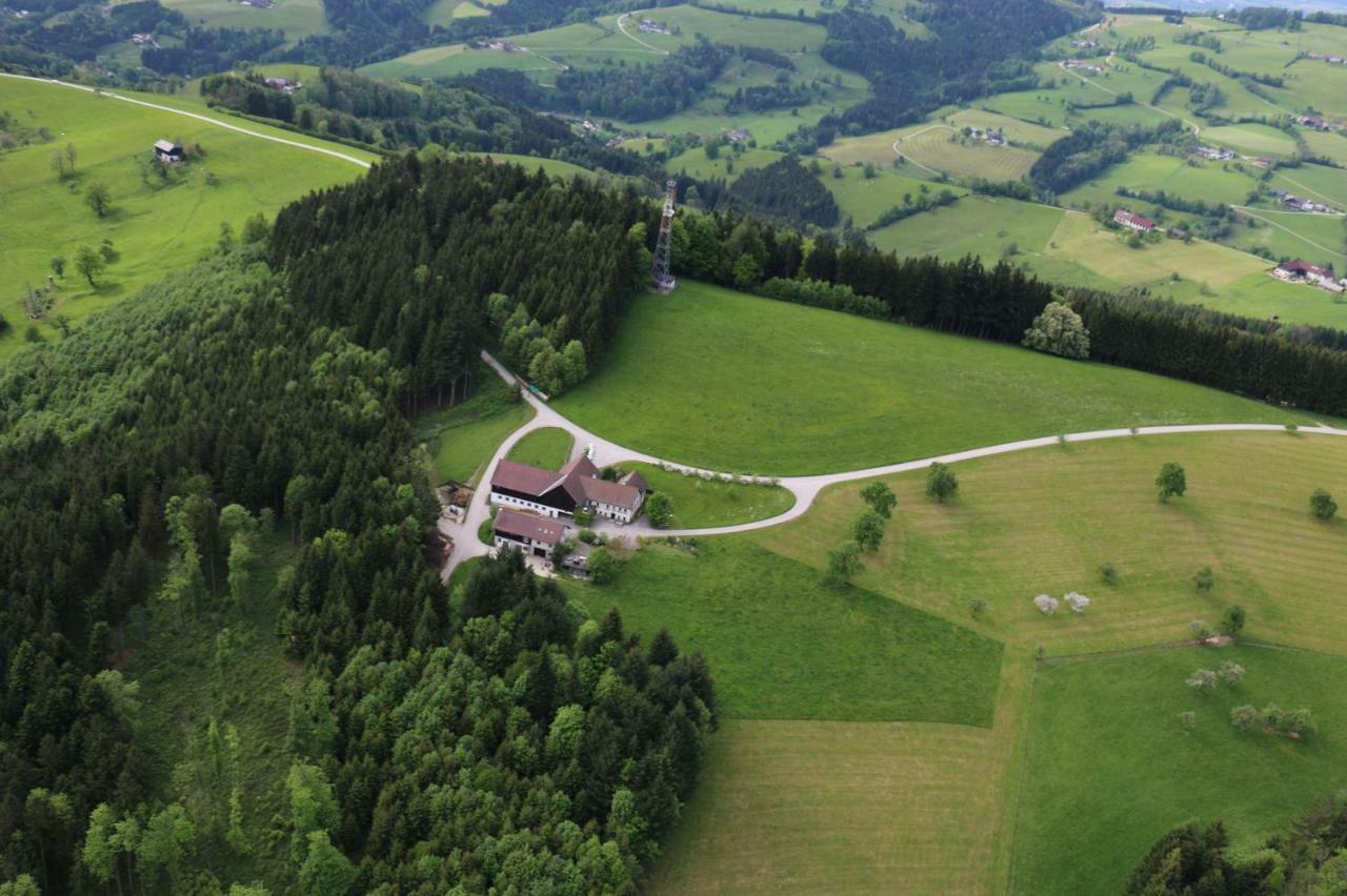 Miniponyhof Biohof Almbauer Apartman Waidhofen an der Ybbs Kültér fotó